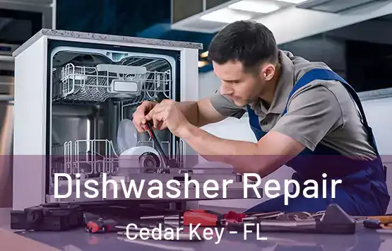  Dishwasher Repair Cedar Key - FL