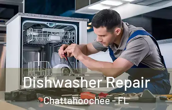  Dishwasher Repair Chattahoochee - FL