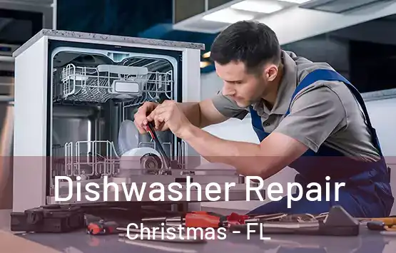  Dishwasher Repair Christmas - FL