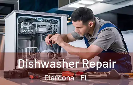  Dishwasher Repair Clarcona - FL