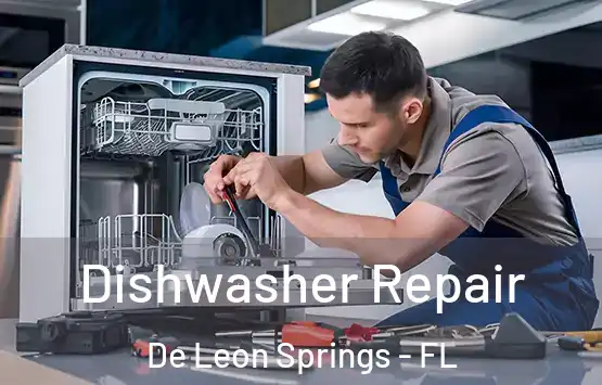  Dishwasher Repair De Leon Springs - FL