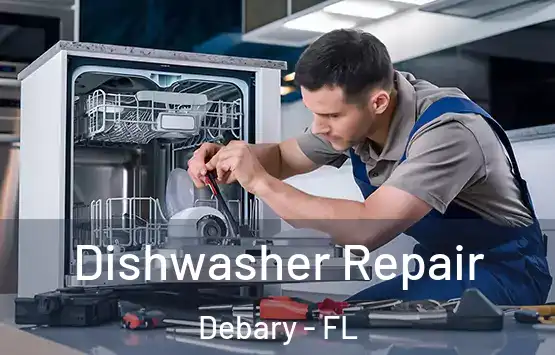  Dishwasher Repair Debary - FL