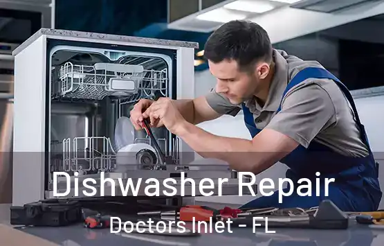  Dishwasher Repair Doctors Inlet - FL