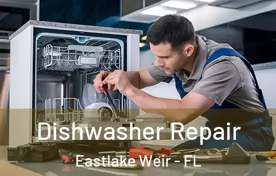  Dishwasher Repair Eastlake Weir - FL