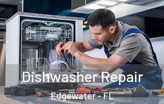  Dishwasher Repair Edgewater - FL