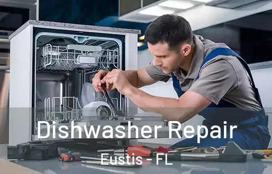  Dishwasher Repair Eustis - FL