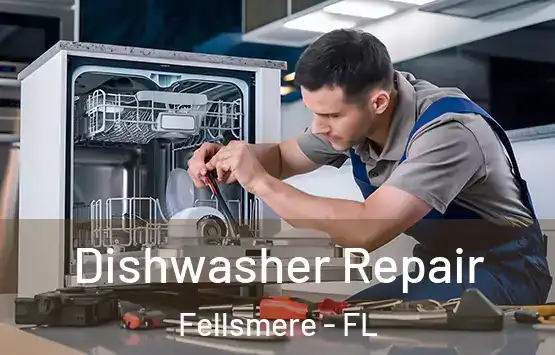  Dishwasher Repair Fellsmere - FL