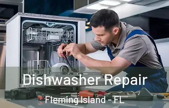  Dishwasher Repair Fleming Island - FL