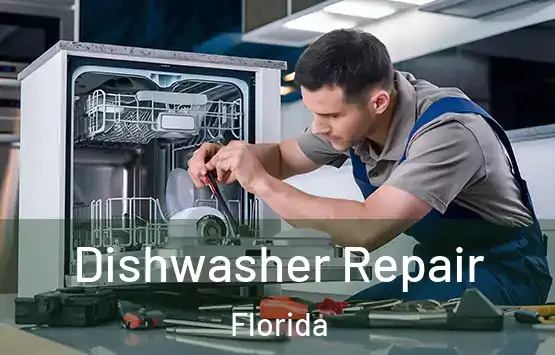  Dishwasher Repair Florida