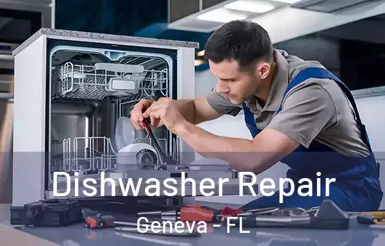  Dishwasher Repair Geneva - FL