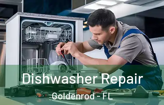 Dishwasher Repair Goldenrod - FL