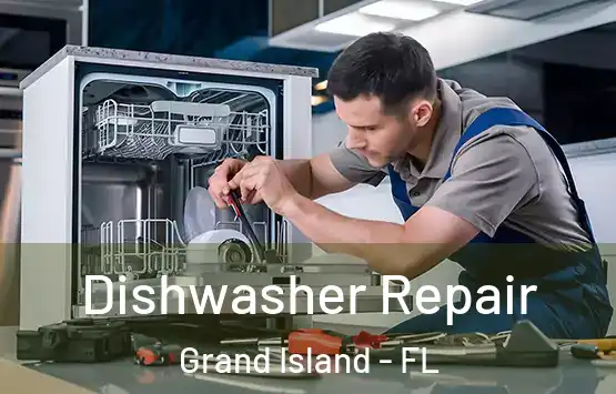  Dishwasher Repair Grand Island - FL