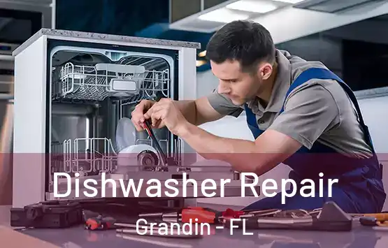  Dishwasher Repair Grandin - FL