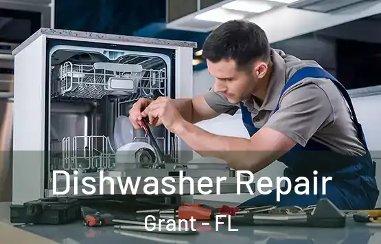  Dishwasher Repair Grant - FL