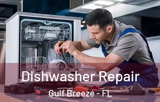  Dishwasher Repair Gulf Breeze - FL