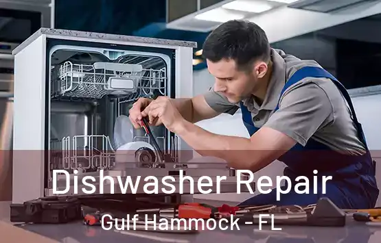  Dishwasher Repair Gulf Hammock - FL