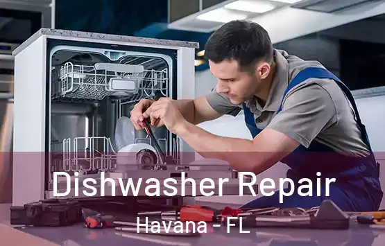  Dishwasher Repair Havana - FL