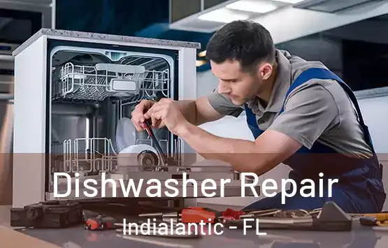  Dishwasher Repair Indialantic - FL