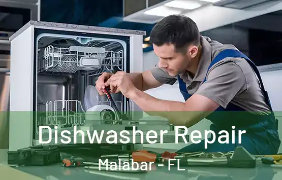  Dishwasher Repair Malabar - FL