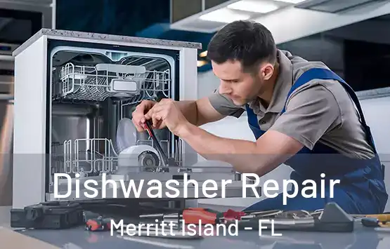  Dishwasher Repair Merritt Island - FL