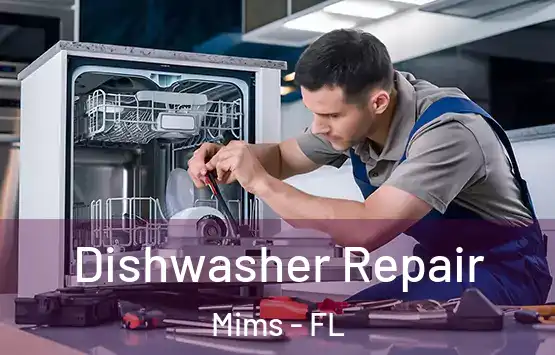  Dishwasher Repair Mims - FL