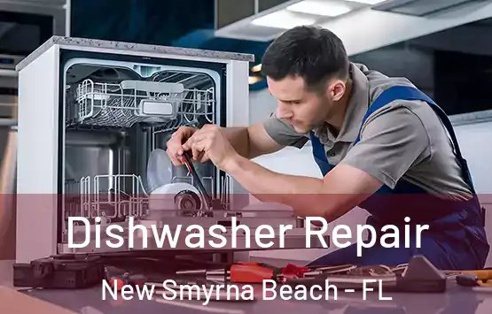  Dishwasher Repair New Smyrna Beach - FL