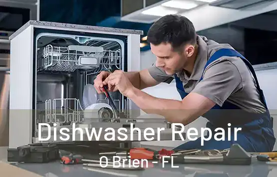  Dishwasher Repair O Brien - FL