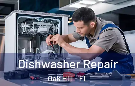  Dishwasher Repair Oak Hill - FL