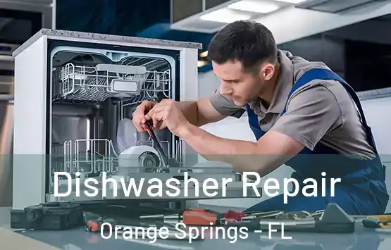  Dishwasher Repair Orange Springs - FL