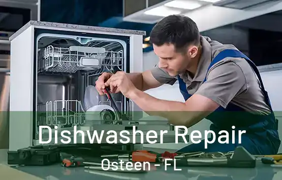  Dishwasher Repair Osteen - FL