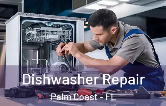  Dishwasher Repair Palm Coast - FL