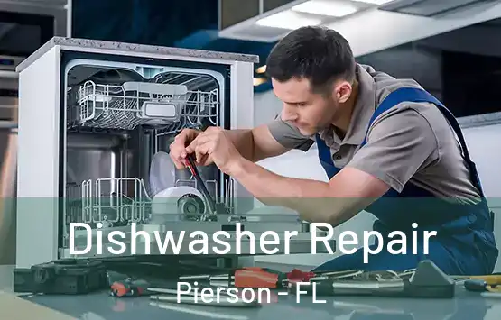  Dishwasher Repair Pierson - FL