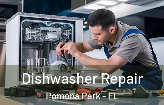  Dishwasher Repair Pomona Park - FL