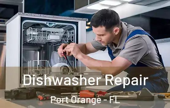  Dishwasher Repair Port Orange - FL