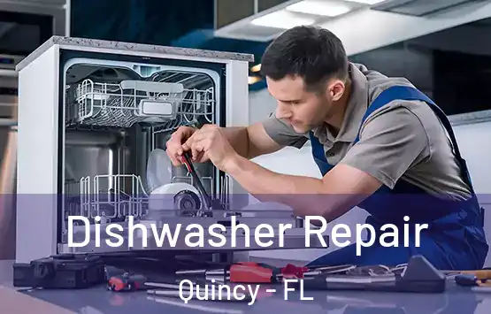  Dishwasher Repair Quincy - FL