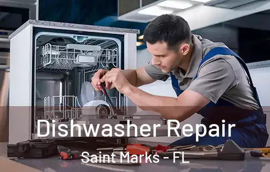  Dishwasher Repair Saint Marks - FL