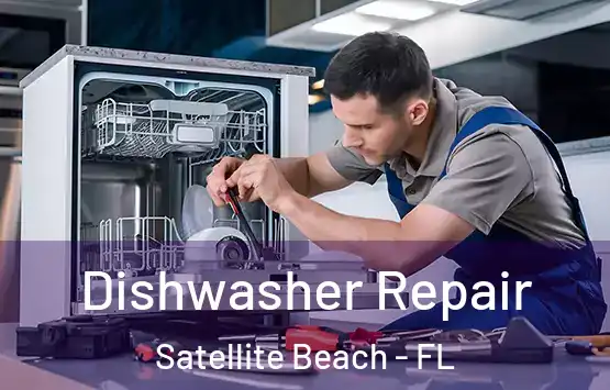  Dishwasher Repair Satellite Beach - FL