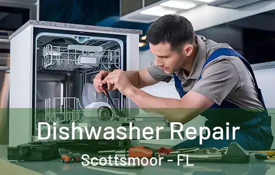  Dishwasher Repair Scottsmoor - FL