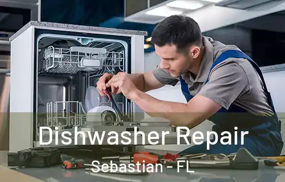  Dishwasher Repair Sebastian - FL