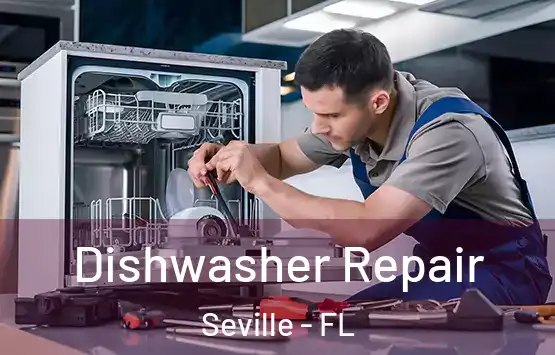  Dishwasher Repair Seville - FL