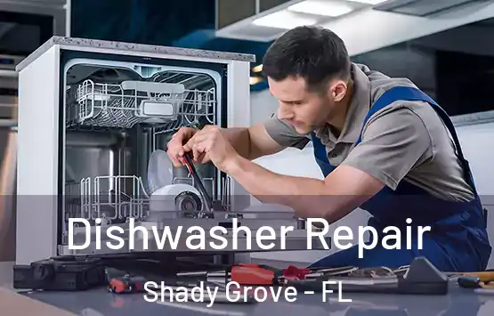  Dishwasher Repair Shady Grove - FL