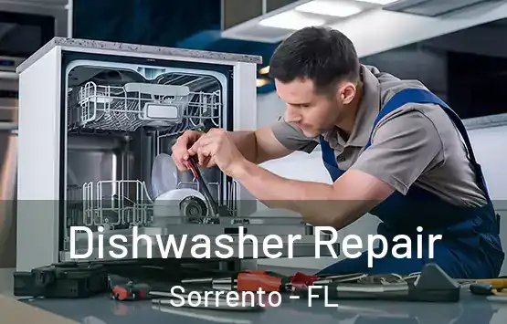  Dishwasher Repair Sorrento - FL