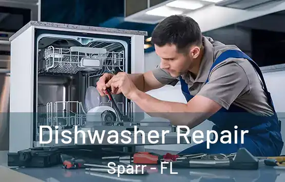  Dishwasher Repair Sparr - FL