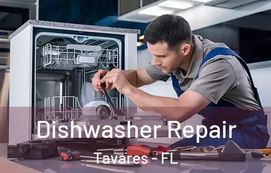  Dishwasher Repair Tavares - FL