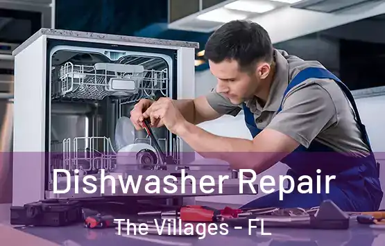  Dishwasher Repair The Villages - FL