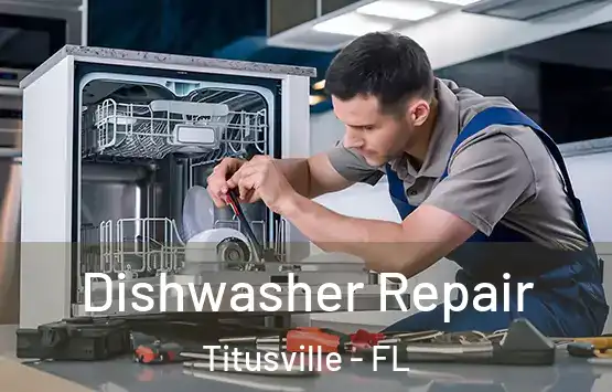  Dishwasher Repair Titusville - FL