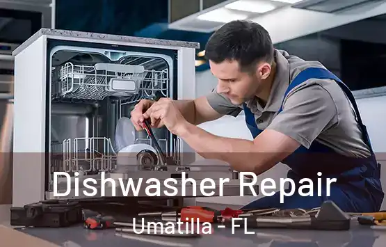  Dishwasher Repair Umatilla - FL