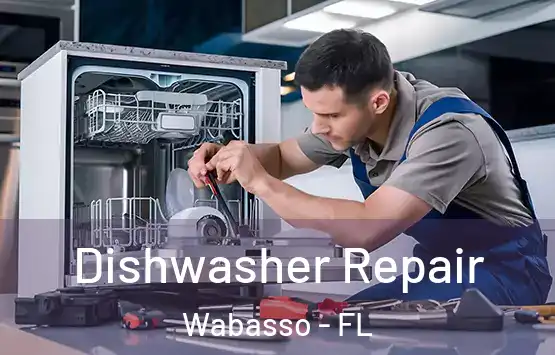  Dishwasher Repair Wabasso - FL