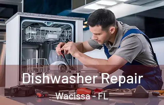  Dishwasher Repair Wacissa - FL