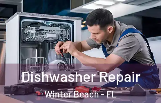  Dishwasher Repair Winter Beach - FL